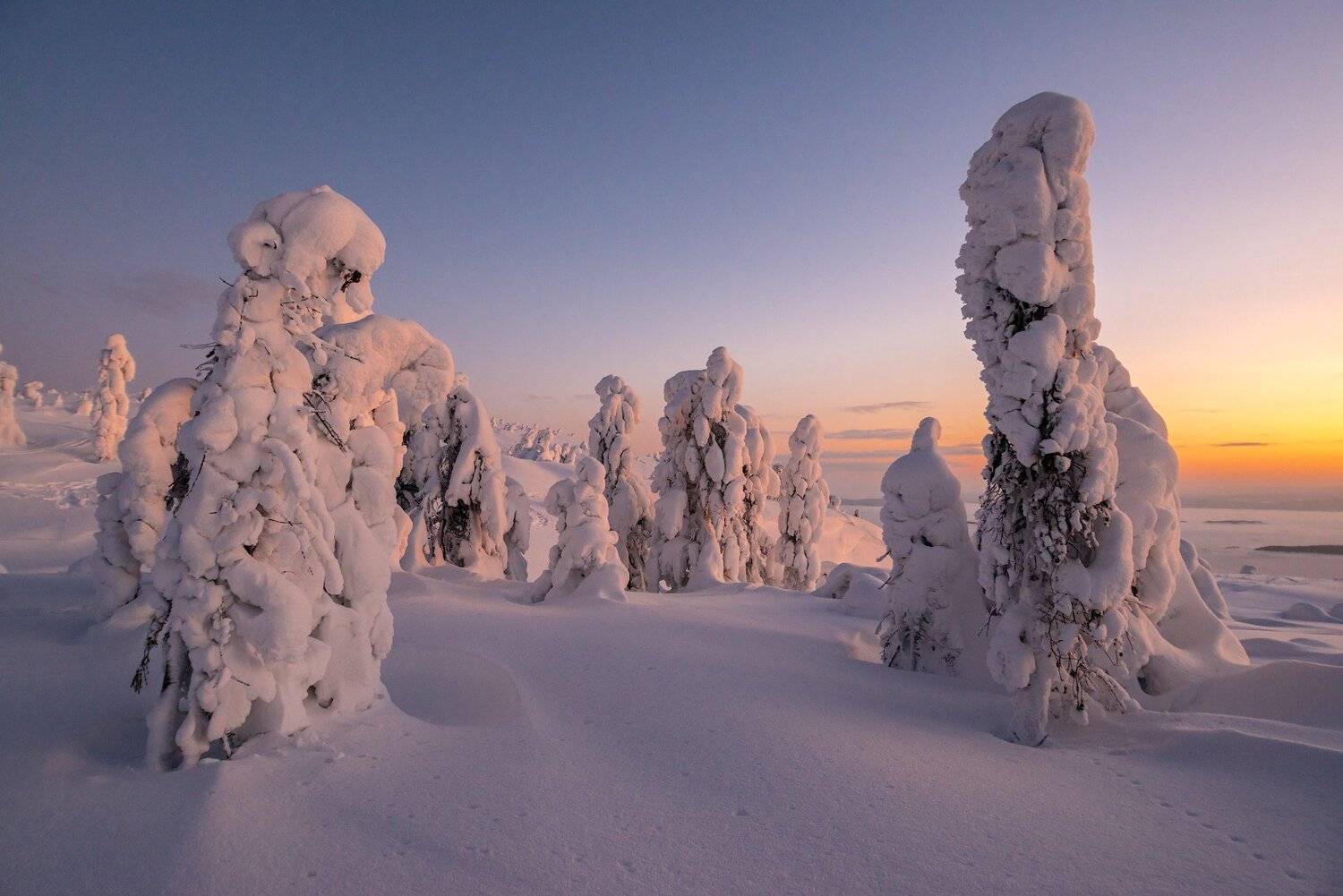 север, кольский, заполярье, кандалакша,гора волостная, Роман Горячий