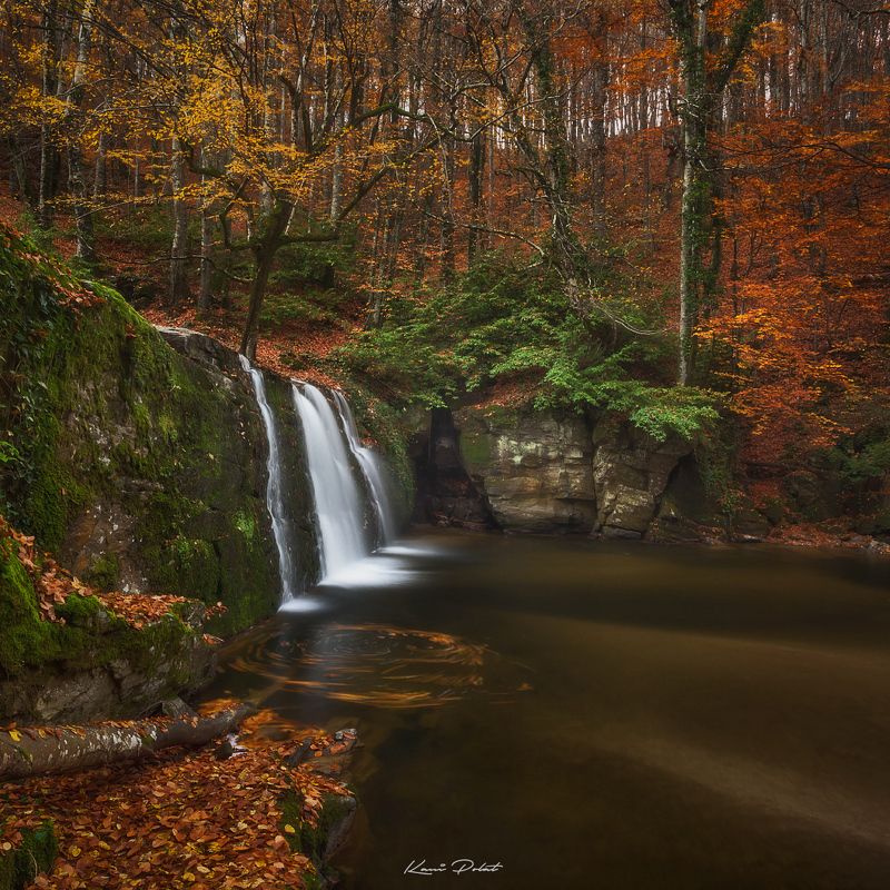 Autumn scenery фото превью