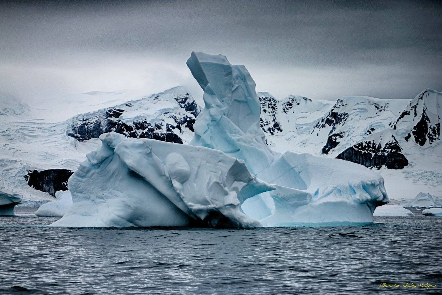 , Николай Шелепов