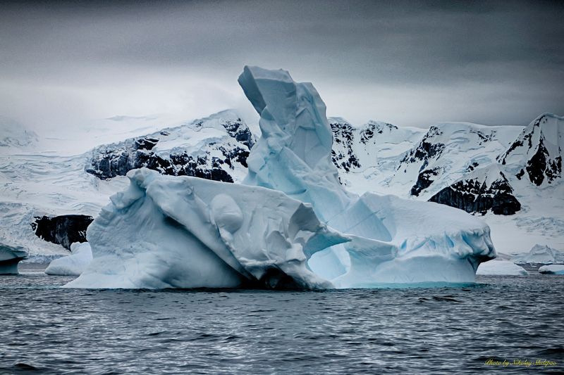 Антарктида 41 фото превью