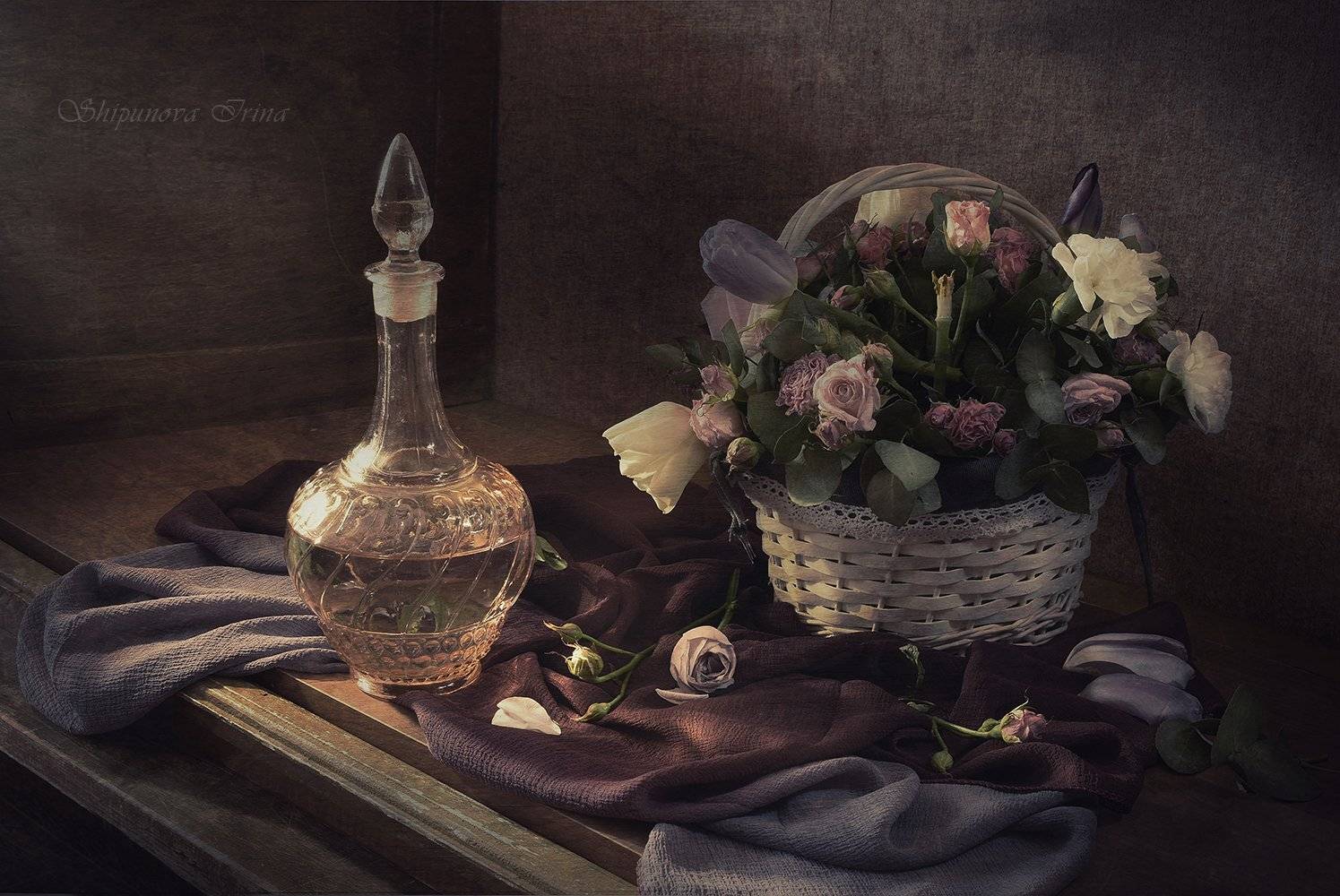 , Шипунова Ирина