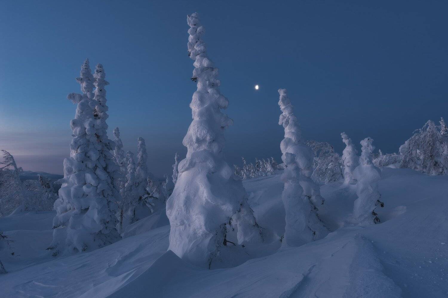 , Михаил Туркеев