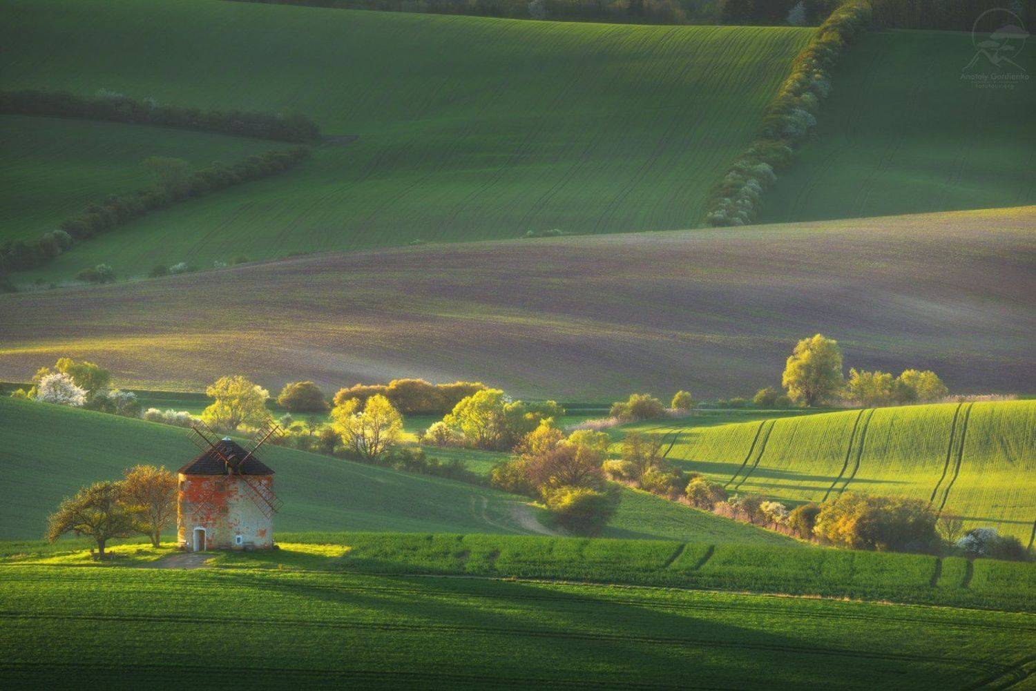 пейзаж, природа, поле, моравия, чехия, мельница, Анатолий Гордиенко