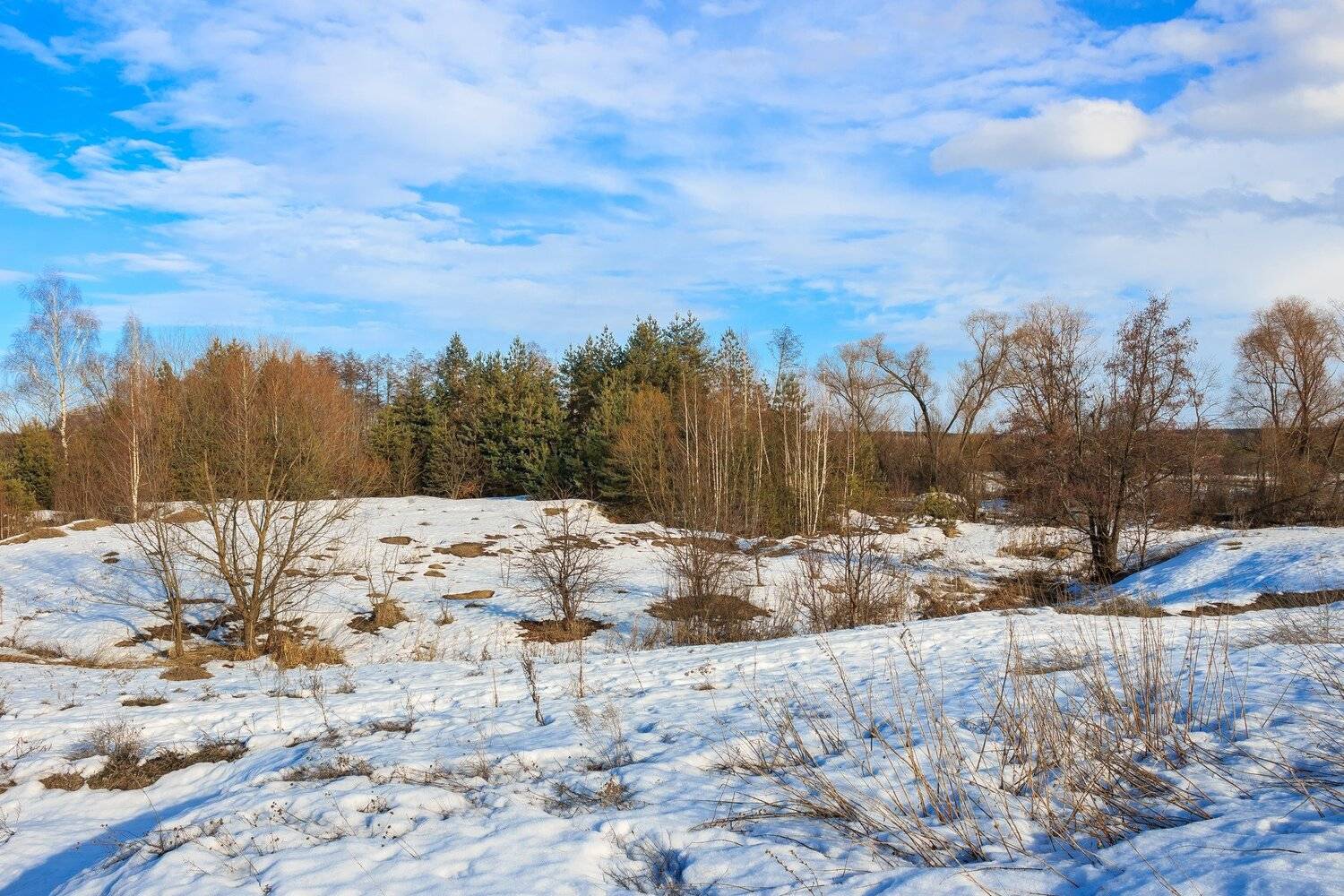 весна, проталины, лес, снег, деревья, Руслан Востриков