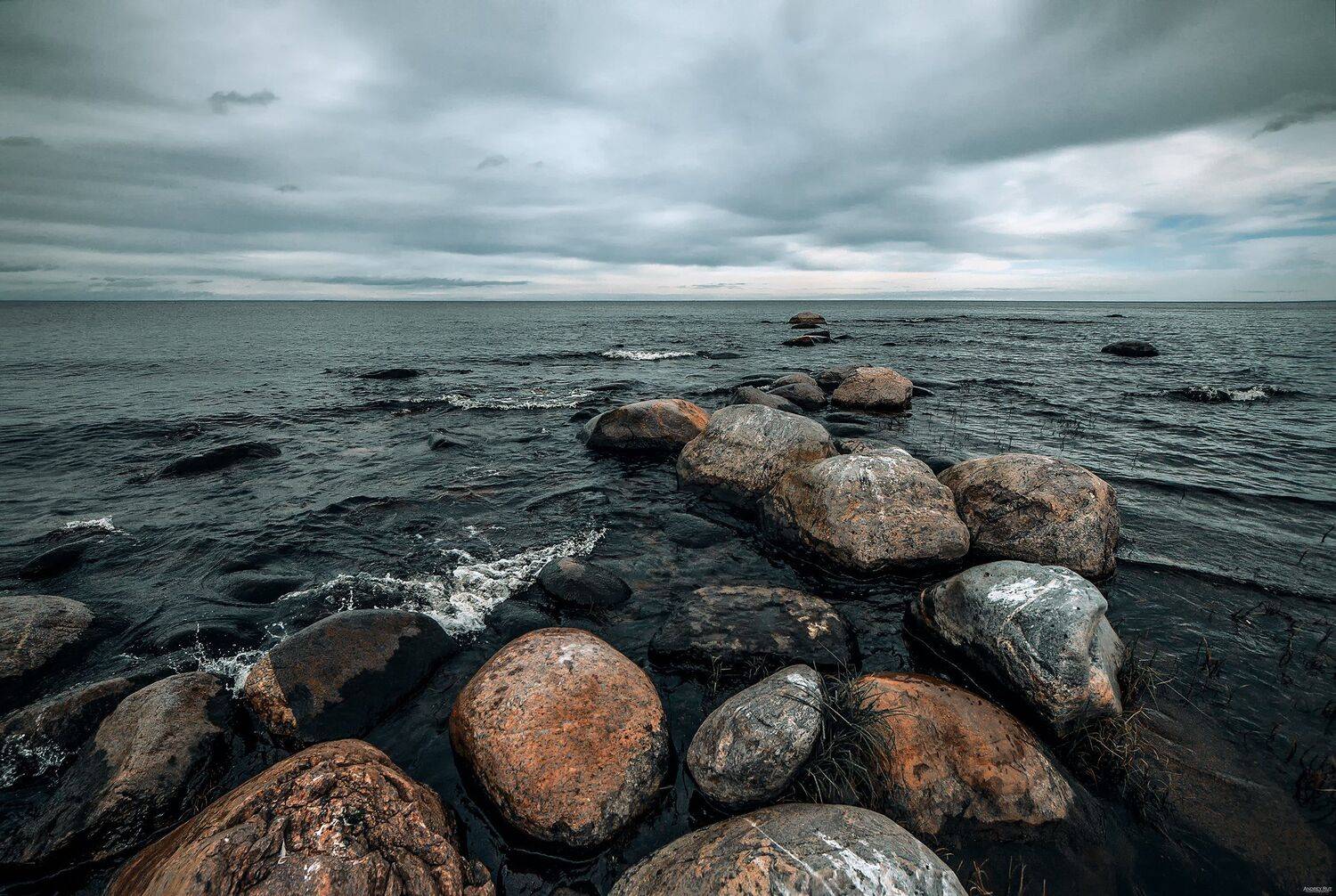 , Рут Андрей