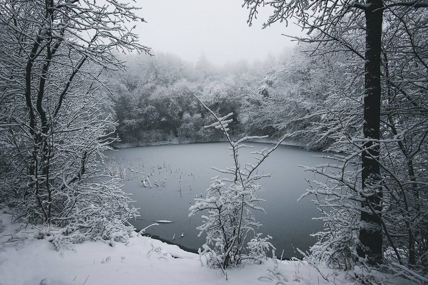 крым, Юрий Коваленко