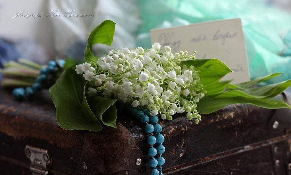 ландыши , Вера Шамраева