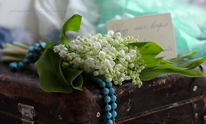 ландыши  Утро фото превью