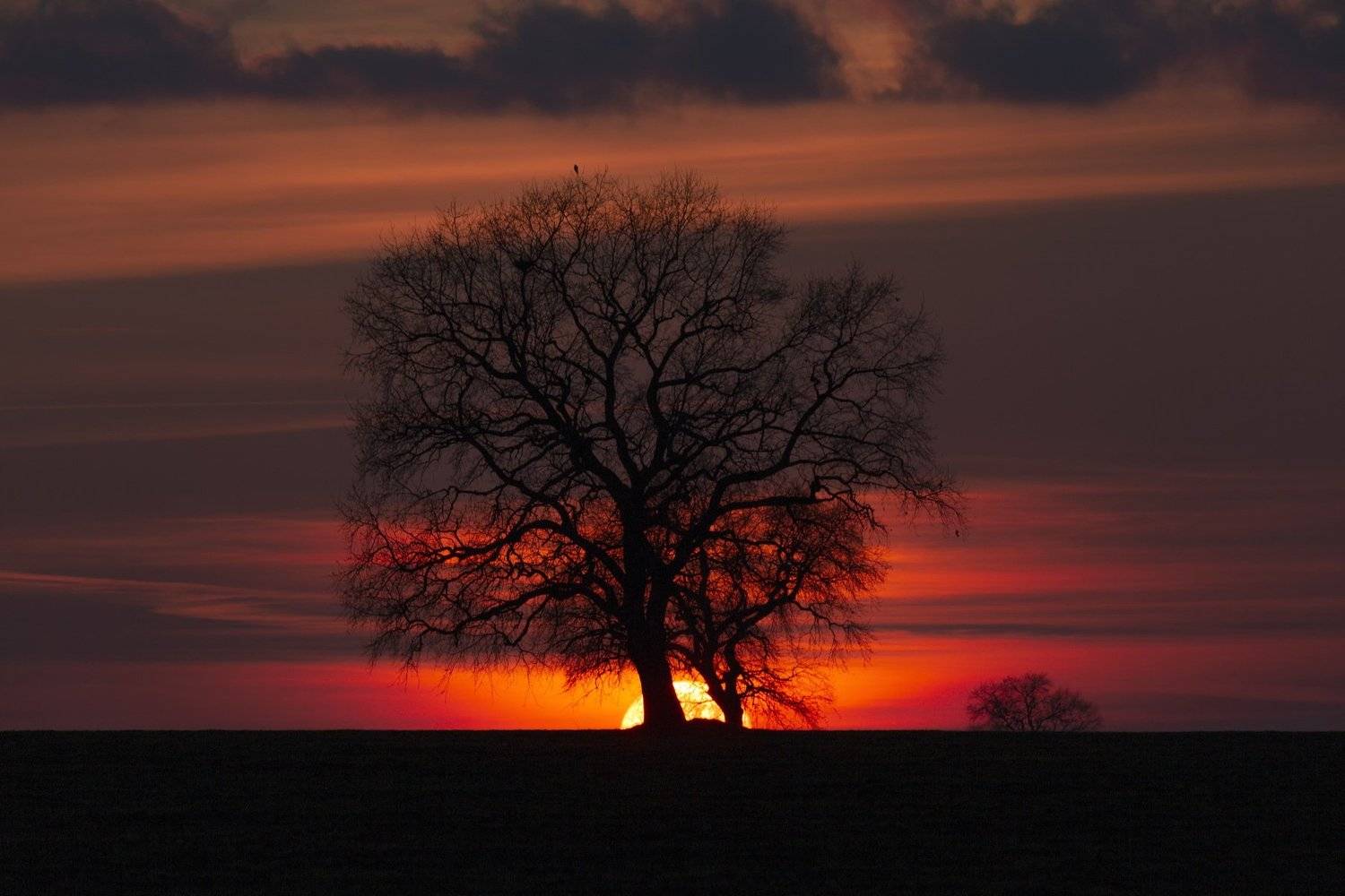 , Aleksandr Karyagin