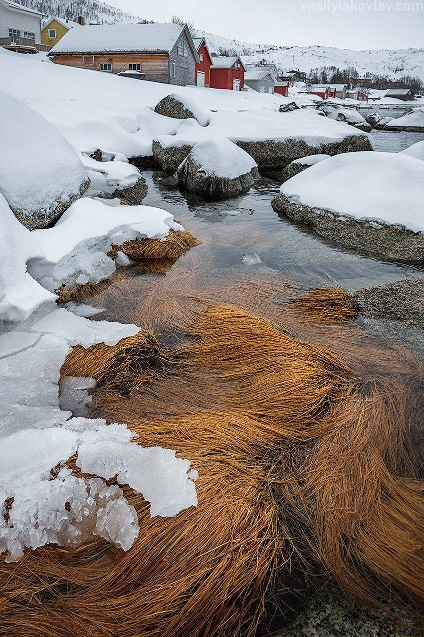 норвегия, Василий Яковлев
