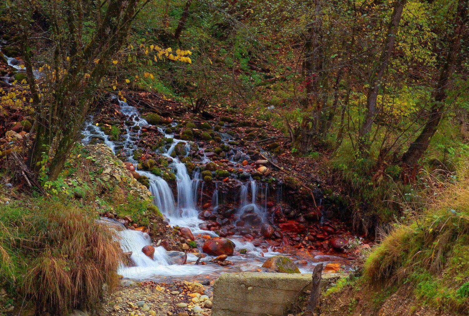 осень,река,вечер,природа,пейзаж, Marat Magov