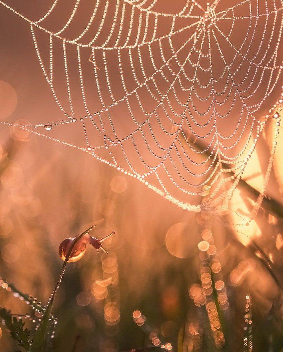 , Вячеслав Мищенко