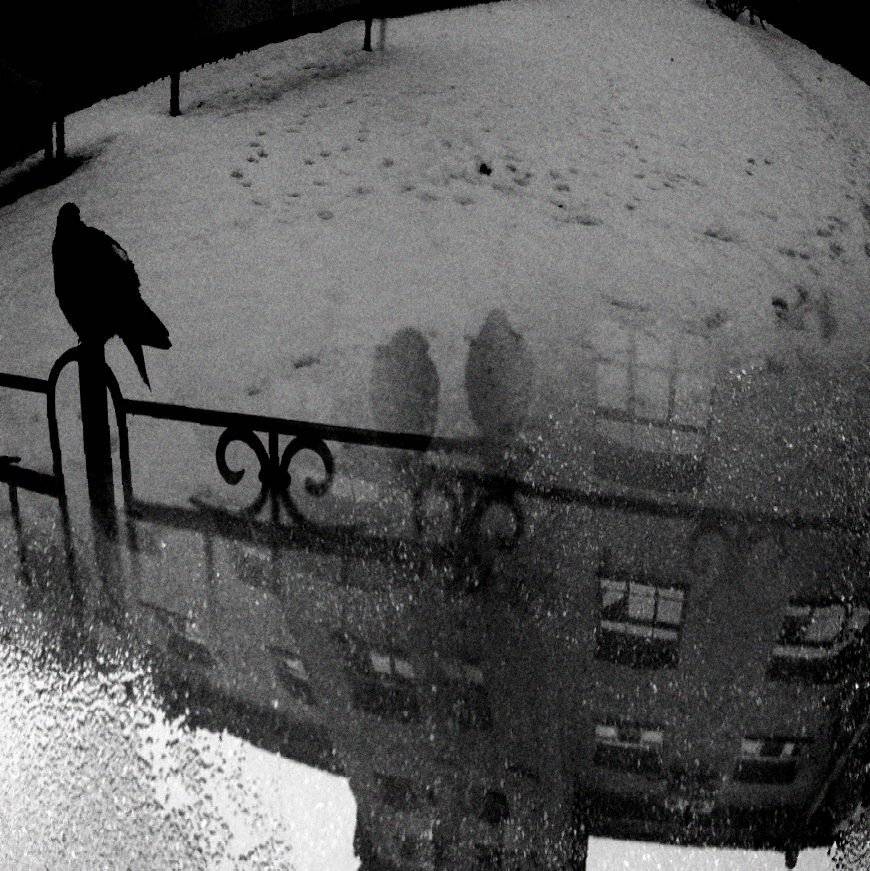 , Антон Лаба