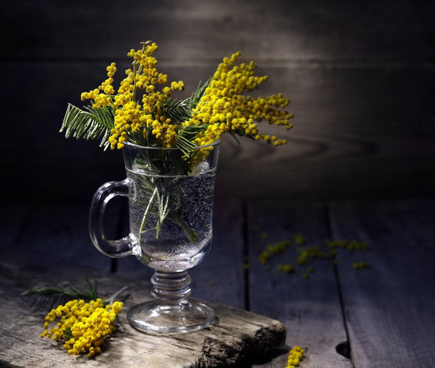 , Наталья Бочкарева