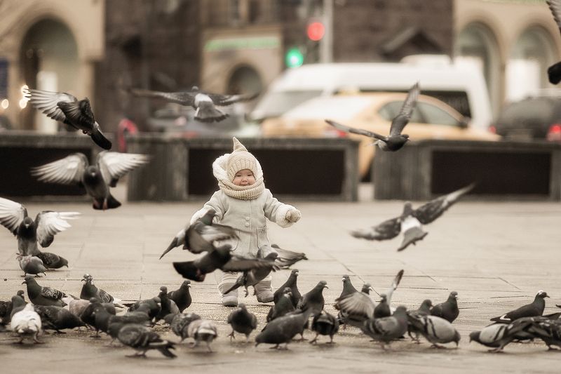 Гоняя голубей фото превью