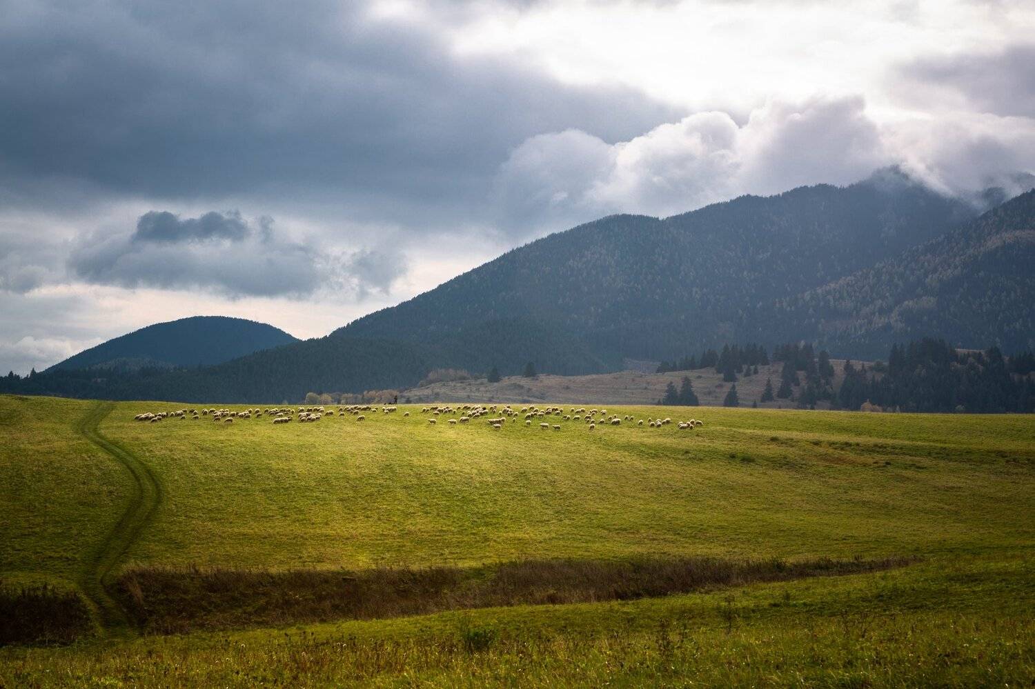 slovakia, tatry, Eriks Zilbalodis