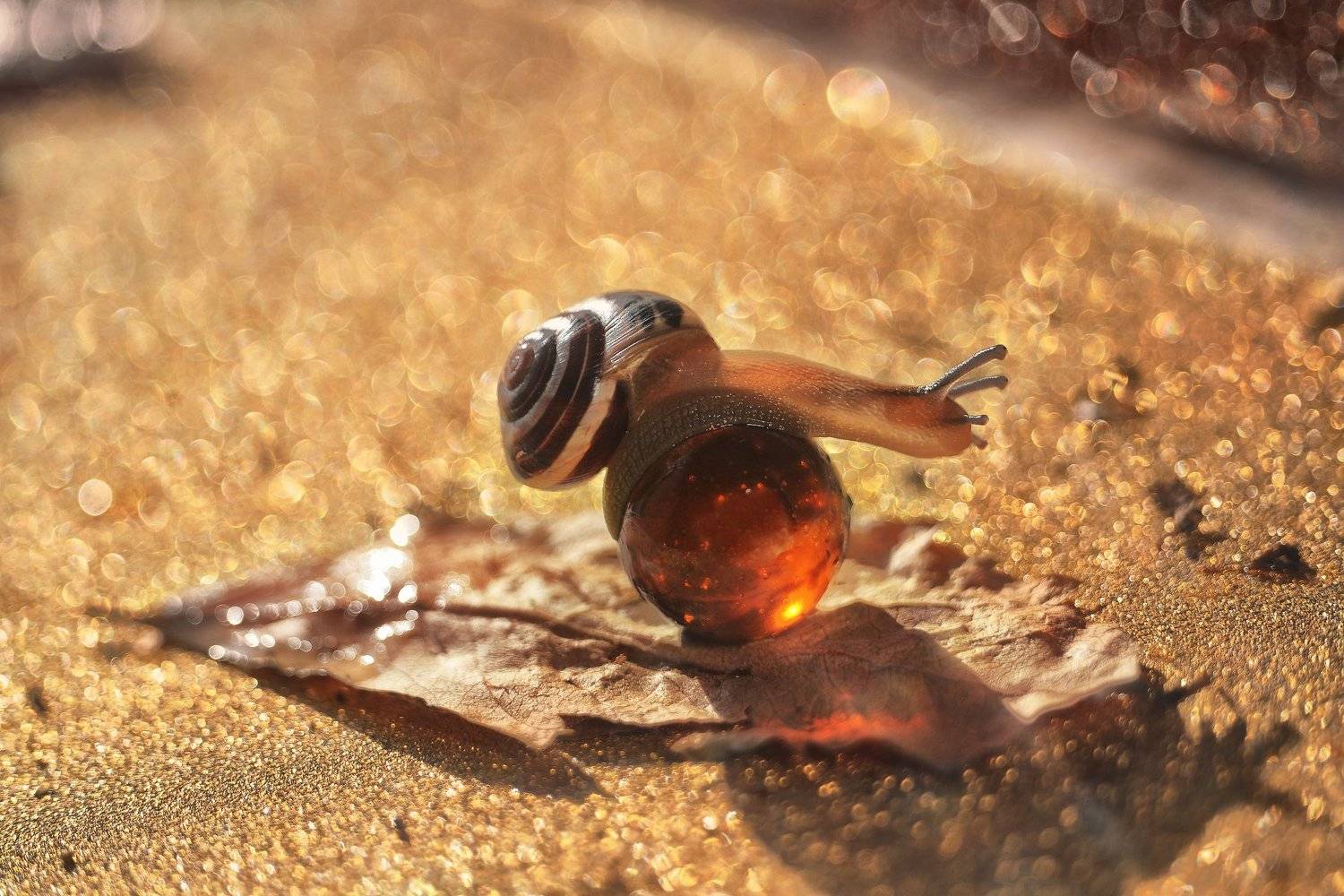 , Тарасова Ольга