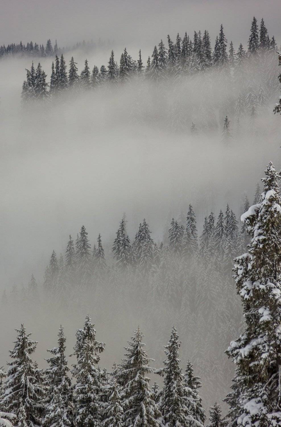landscape winter mountains snow fog photography photo canvas wallpaper nature trees frame view , Comșa Bogdan