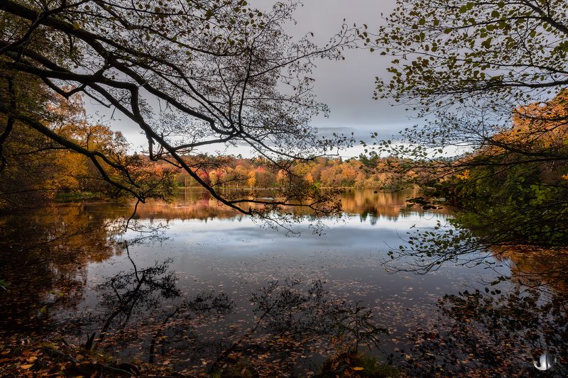 autumn in sussex фото превью