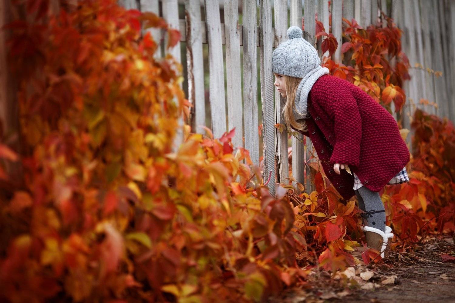 , Журавель Саша