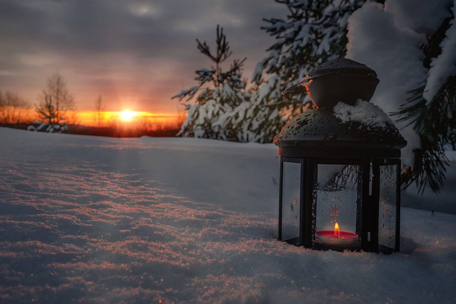 свеча, снег, лес, ели, солнце, рассвет, небо, облака, зима, снег, мороз, лед, холод, сугробы, Андрей Чиж