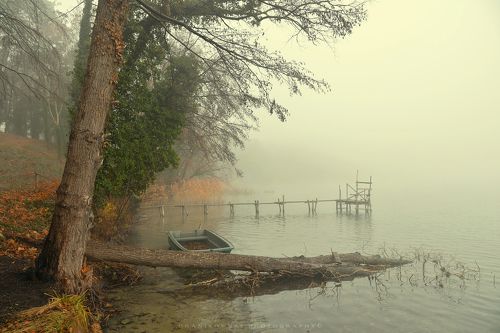 melancholy at the lake