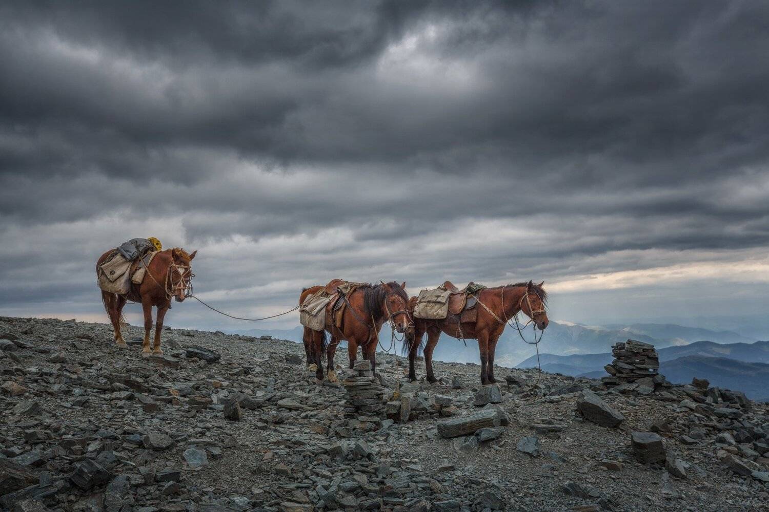 алтай, рогы, река, восход, закат, пейзаж, природа, Шевченко Николай