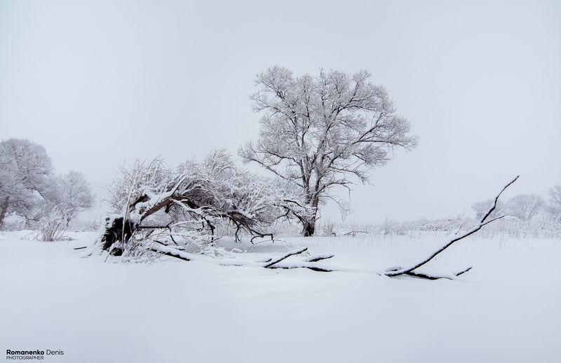 Зимние безмолвие фото превью