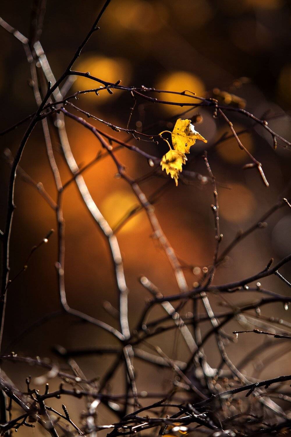 южный, урал, долгие горы, орск, новотроицк башкирия талкас, Качурин Алексей