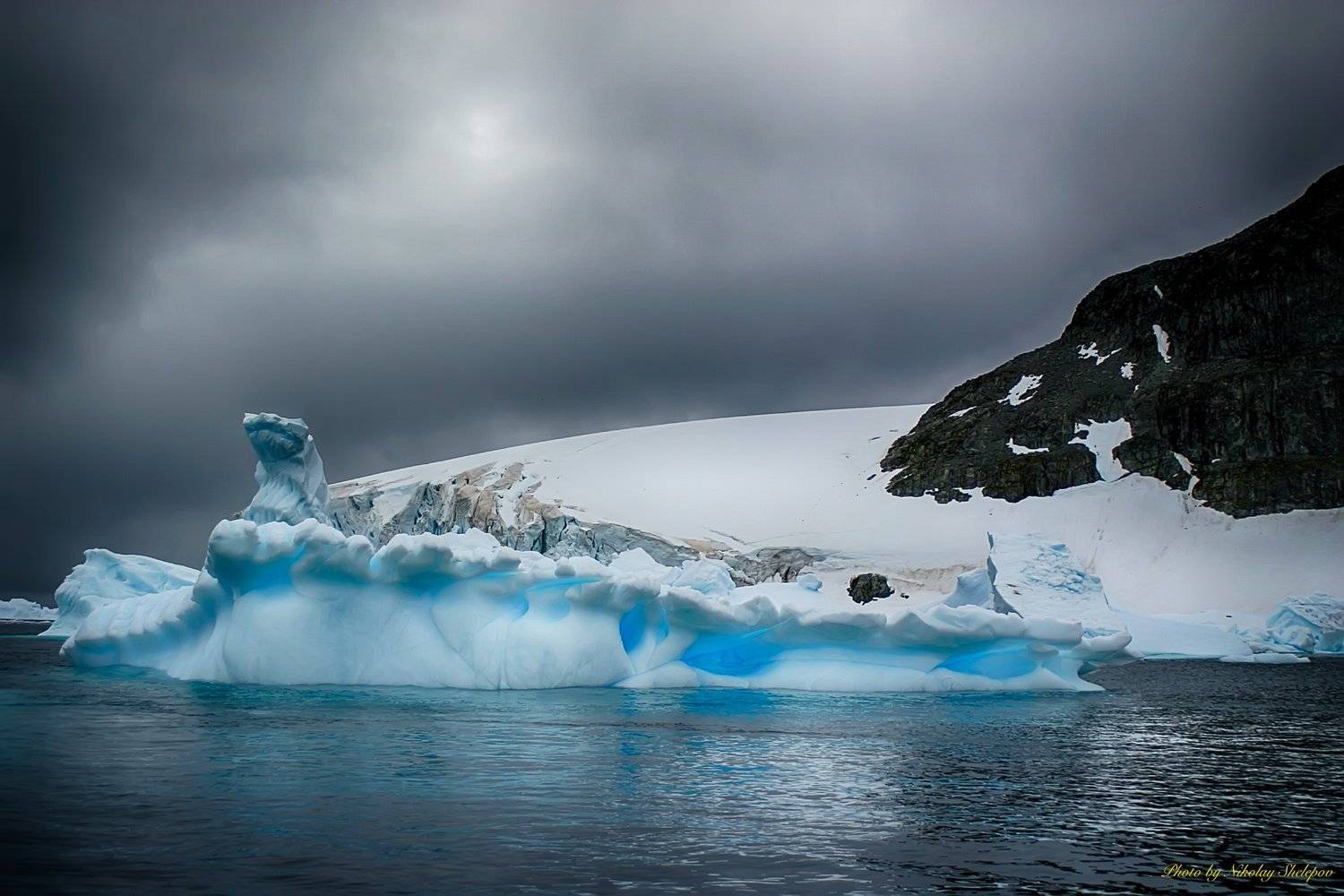 , Николай Шелепов