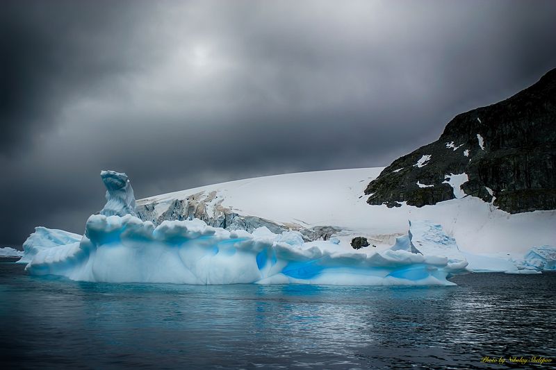 Антарктида 42 фото превью