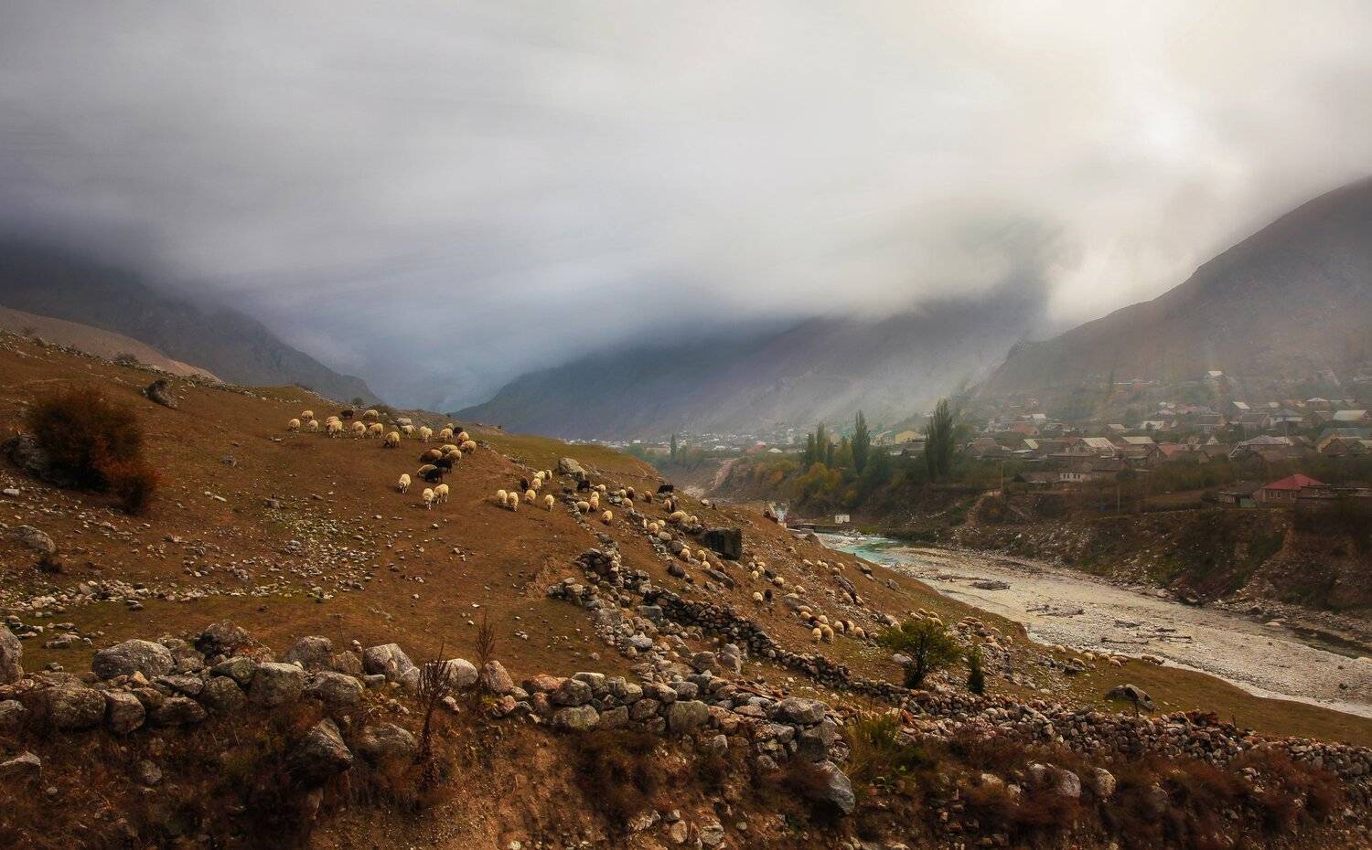 горы,осень,природа.овцы,животные., Marat Magov