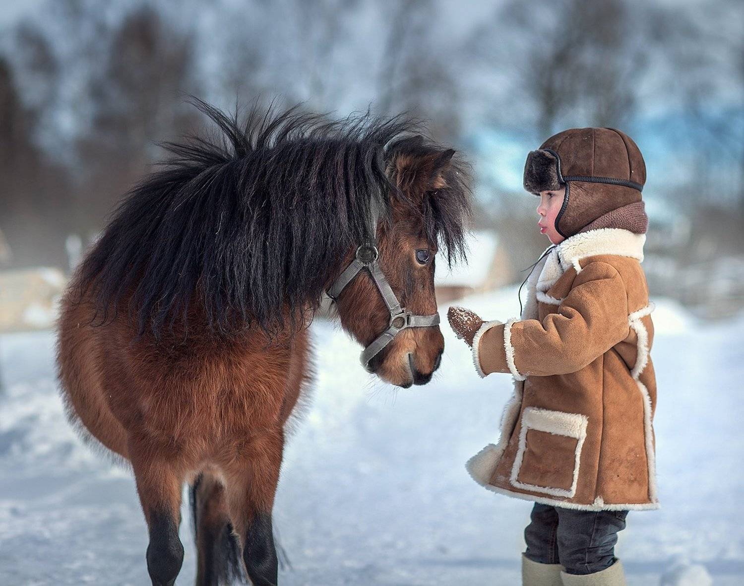 , Диана Аникеева