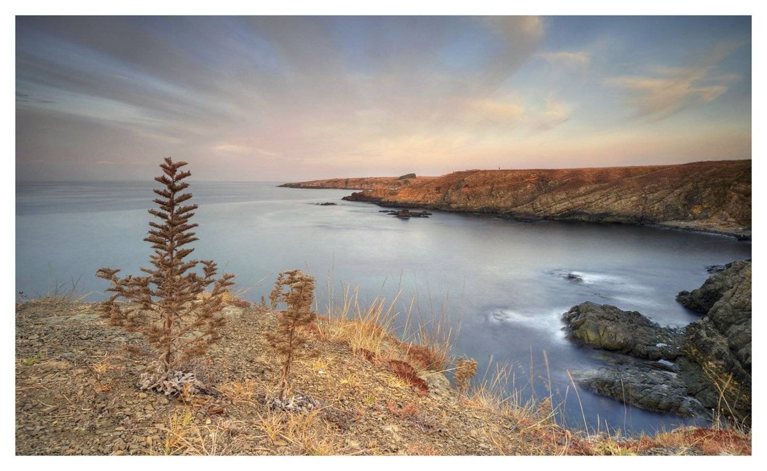 , Румен Паисиев