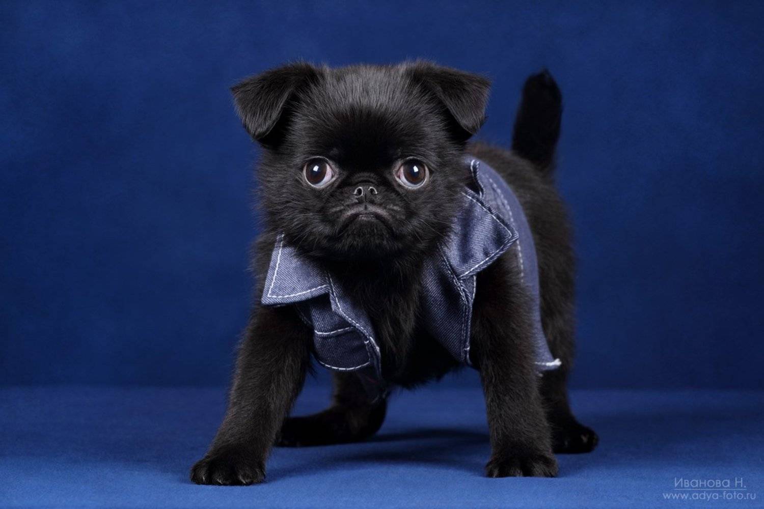 , Надежда Иванова