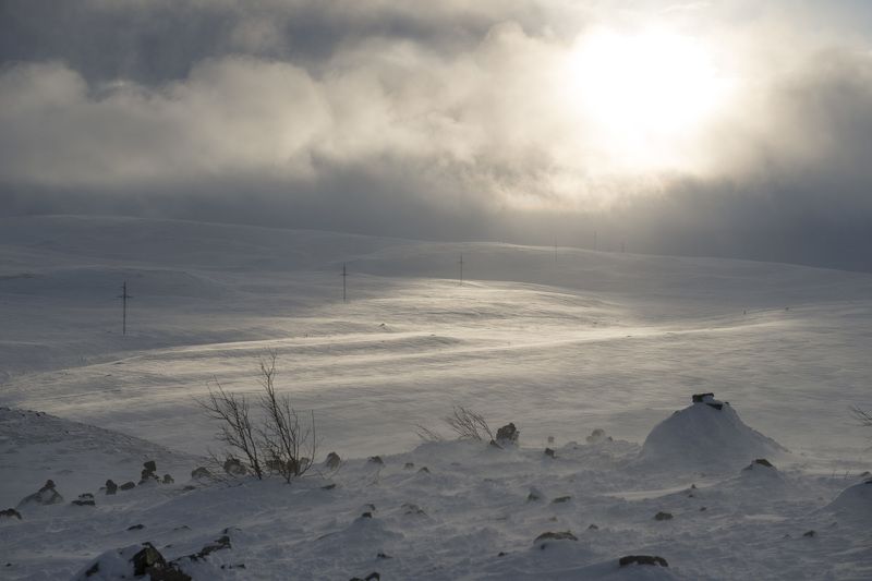 териберка, ветер, метель *** фото превью