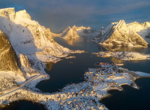 Reine