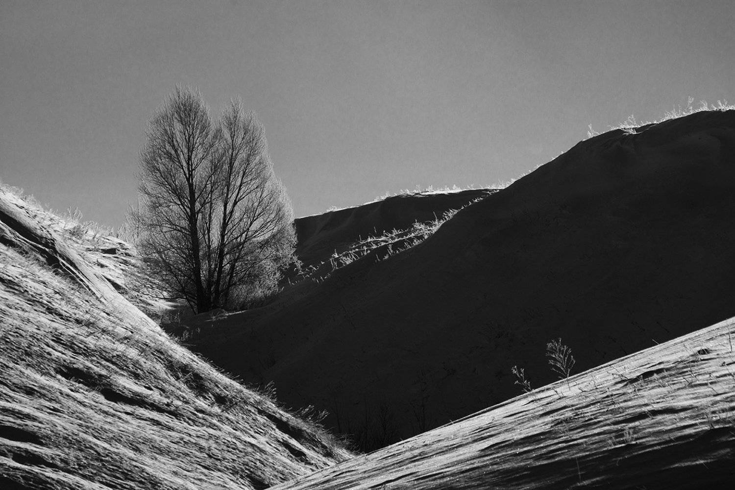 , Роман Рыжков