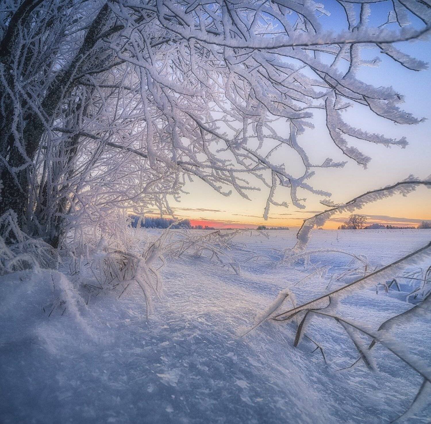 , Устюжанин Михаил