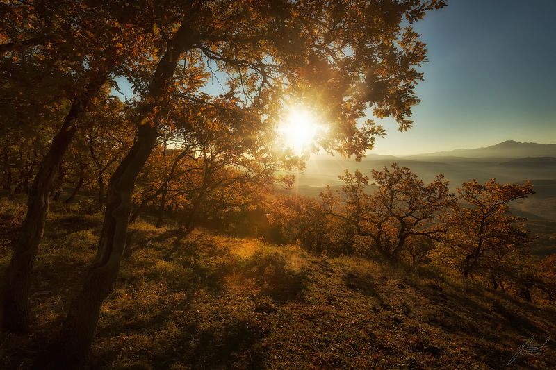 Золото Адыгеи. фото превью