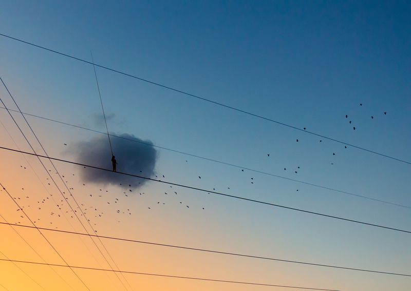 ... фото превью