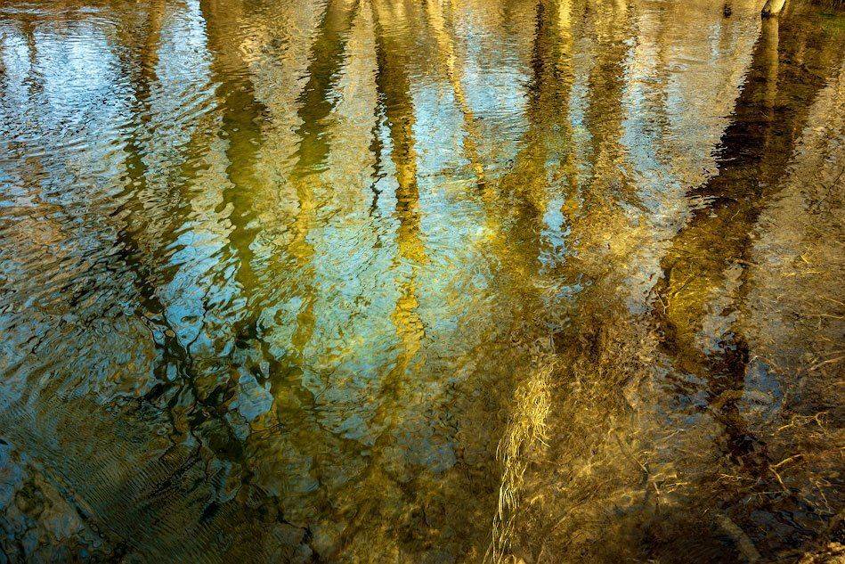 , Андрей Гусаченко