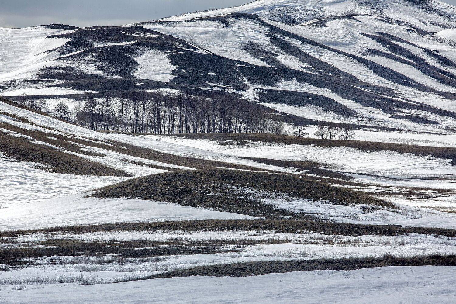 орск зима снег синий холод иней берёзы деревья, Качурин Алексей