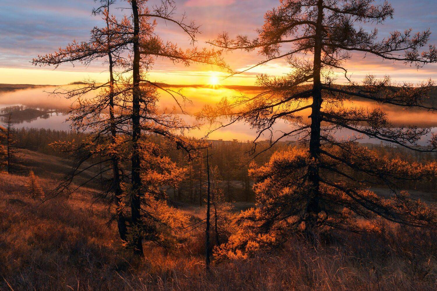 , Михаил Туркеев