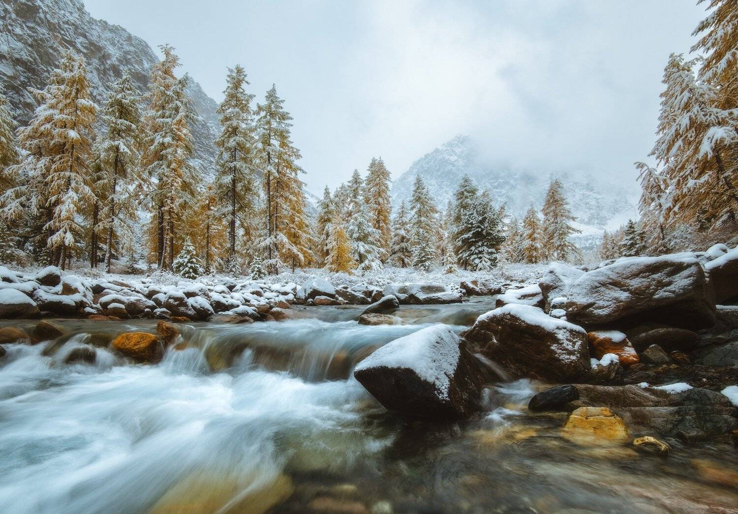 россия, алтай, республика алтай, горный алтай, природа, пейзаж, сибирь, горы, река, поток, снег, осень, актру, Оборотов Алексей