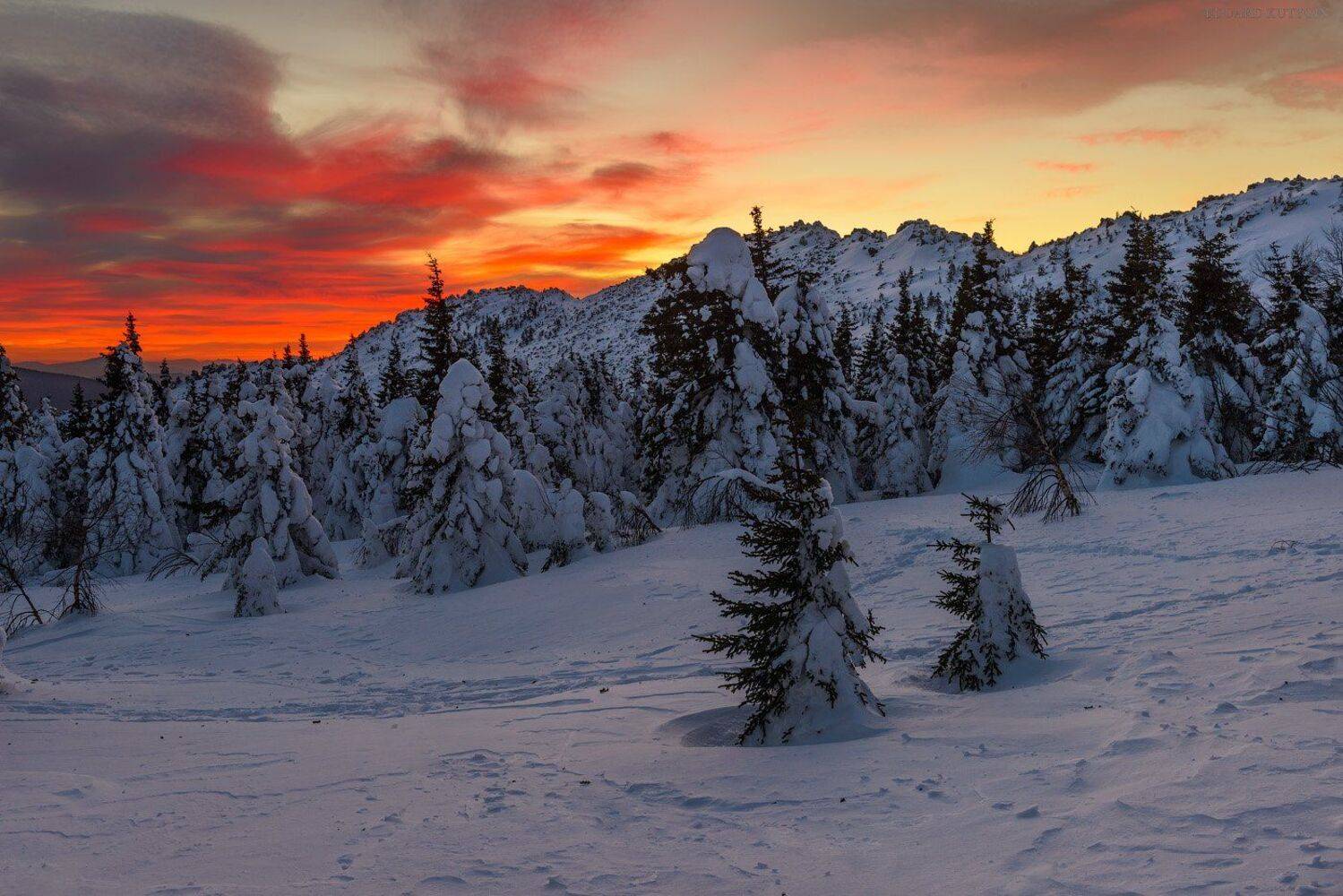 #taganai #taganay #ural #kutygin #таганай #урал #дальний_танганай #кутыгин #круглица, Кутыгин Эдуард