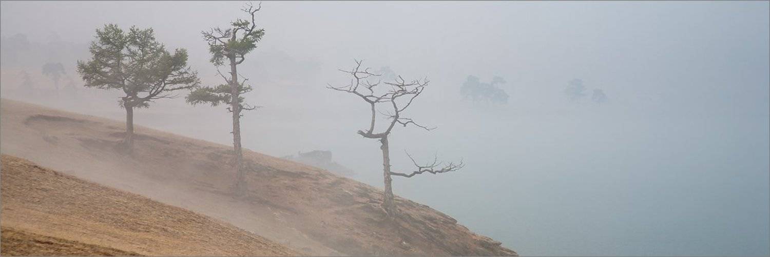 vensk, ольхон, байкал, Скородумов Вениамин