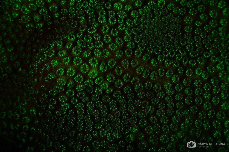 Ночные преобразования фото превью