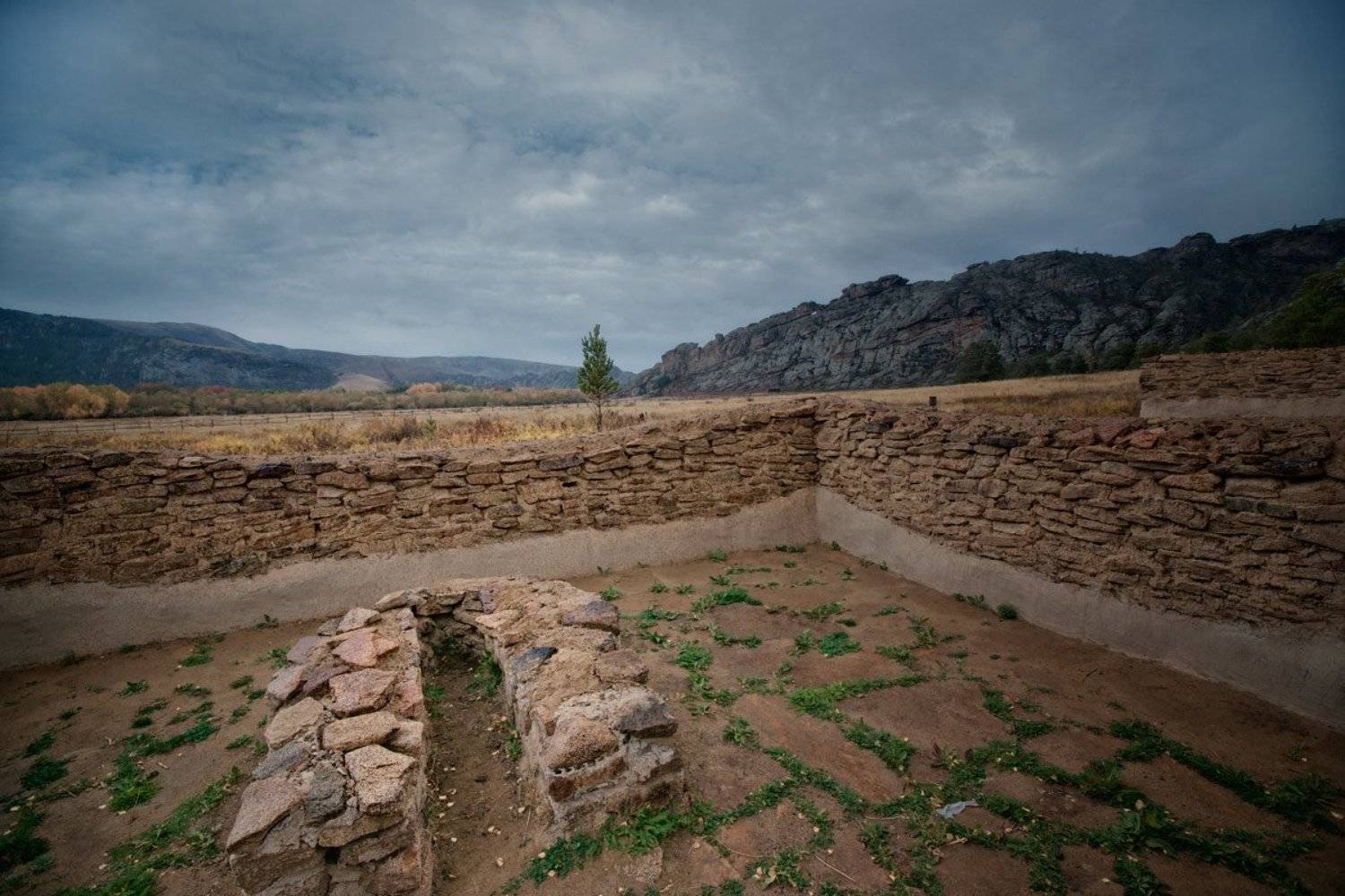 , Дмитрий Елисеев