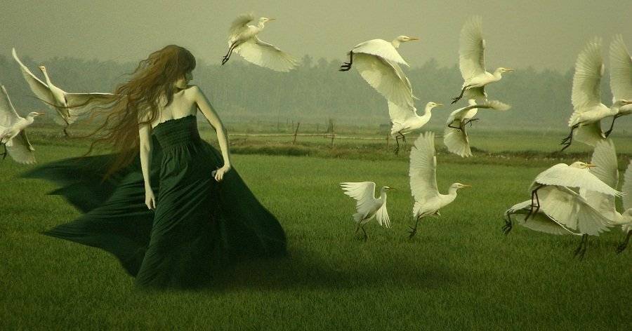 арт,творчество,птицы, dusha